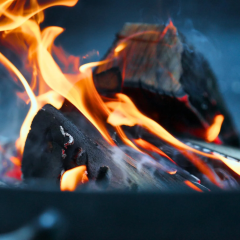 MANGAL KÖMÜRÜ NATUREL MEŞE 5 KG