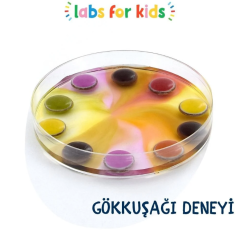 MİNİK PROFESÖR DENEY SETİ