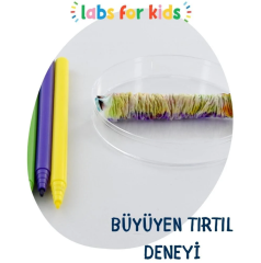 MİNİK PROFESÖR DENEY SETİ