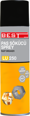 PAS SÖKÜCÜ 250 ML